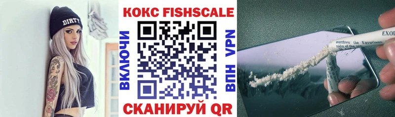 продажа наркотиков  дарк нет какой сайт  Кокаин FishScale  Камышин 