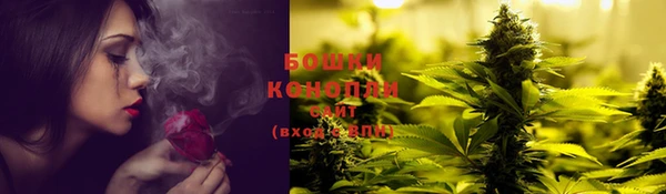 бошки Осинники