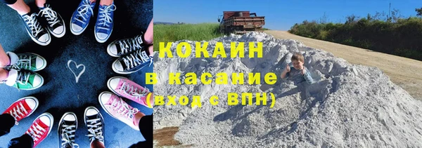 бошки Осинники