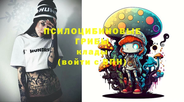 МДПВ Остров