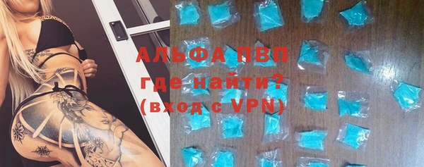дживик Пересвет