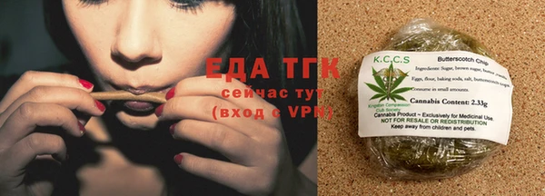 дживик Пересвет