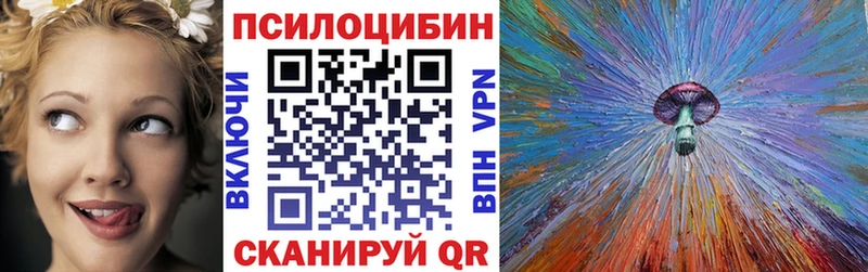 OMG зеркало  Камышин  Галлюциногенные грибы прущие грибы  купить наркотик 