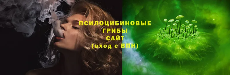 Псилоцибиновые грибы мухоморы  Камышин 