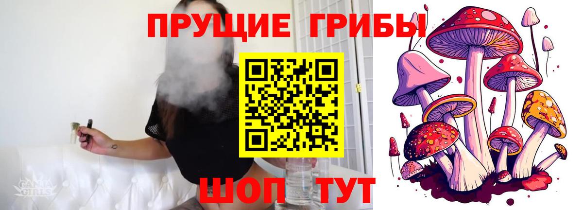 Псилоцибиновые грибы мицелий  Камышин  Галлюциногенные грибы Psilocybe 