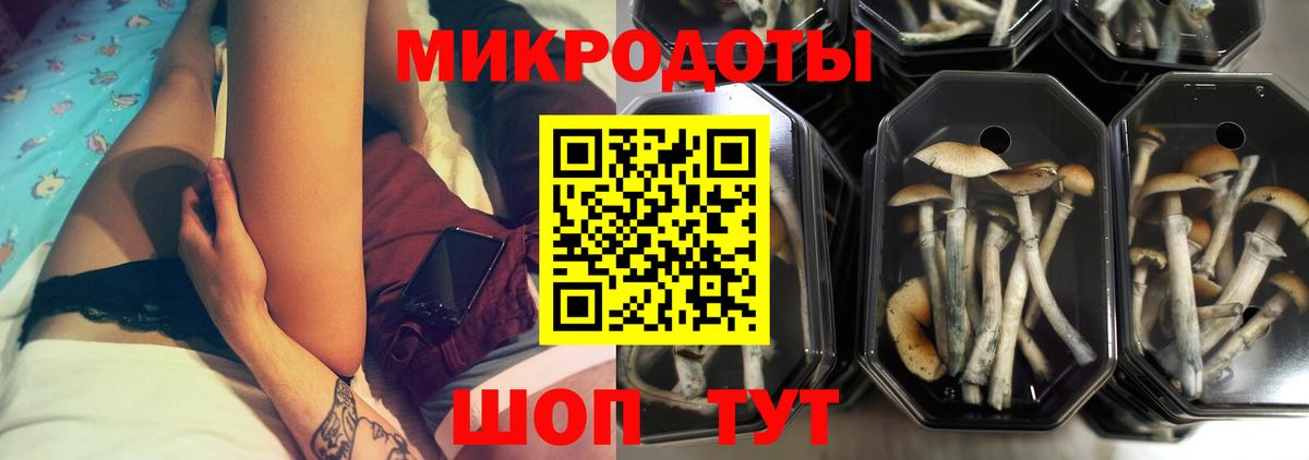 Камышин  где продают наркотики  Вход с VPN  Галлюциногенные грибы MAGIC MUSHROOMS 