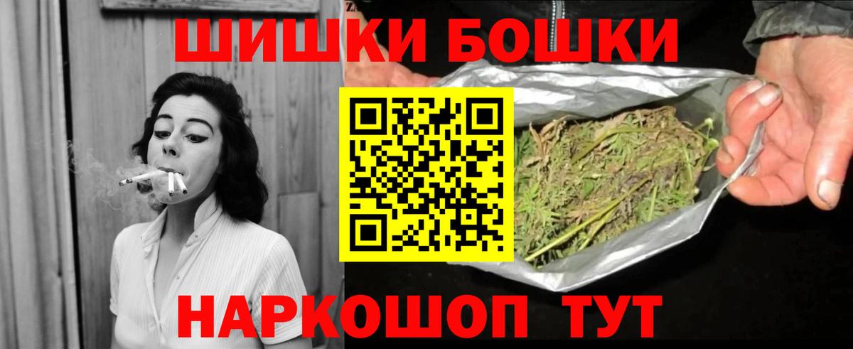 Каннабис сатива Камышин